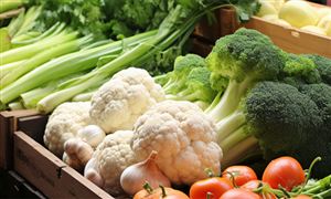 九游体育人工智能芯片行业研究报告：人工智能概念持续走热 芯片重要性日益凸显(图2)