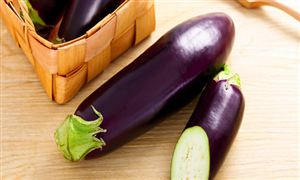 九游体育人工智能芯片行业研究报告：人工智能概念持续走热 芯片重要性日益凸显(图5)