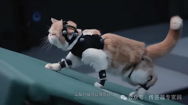 《黑神话:悟空》发售这家传感器公司暴涨30%涨停!什么情况?九游体育(图8) 《黑神话:悟空》发售这家传感器公司暴涨30%涨停!什么情况?九游体育(图8)