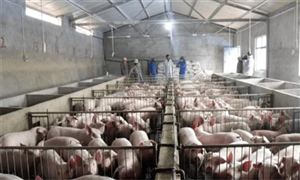 计九游体育官方算机视觉行业市场发展现状 计算机视觉行业市场应用前景分析(图4)