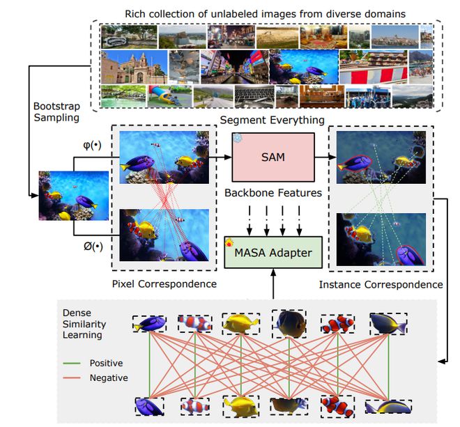 九游体育·JIUYOUMASA：彻底改变玩法计算机视觉要洗牌了(图2)