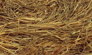 九游体育计算机视觉行业市场调研 计算机视觉发展前景(图3)