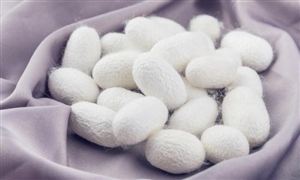 人工智能芯片基本介绍及市场规模分析九游体育(图7)