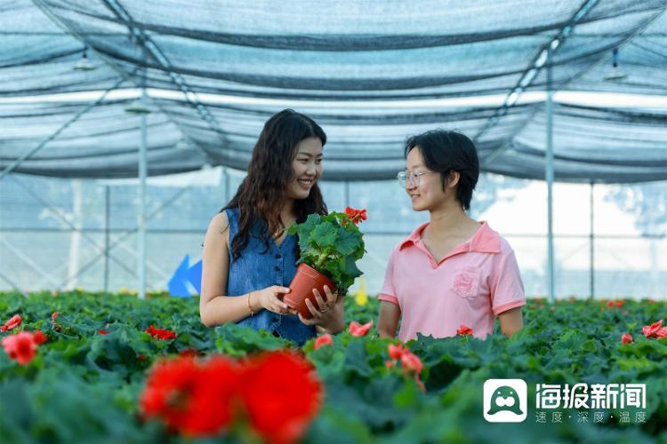 视觉山东一周图选（2024年第32期）九游体育(图6)