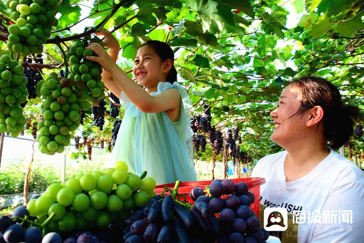 视觉山东一周图选（2024年第32期）九游体育(图11)