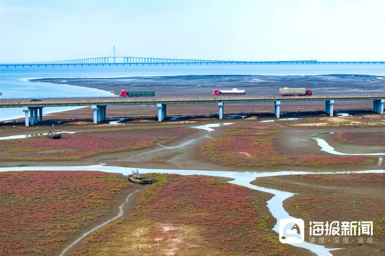 视觉山东一周图选（2024年第32期）九游体育(图7)